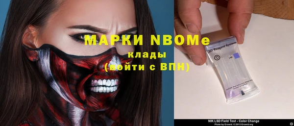 стафф Протвино