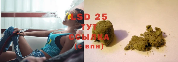 сатива Белокуриха