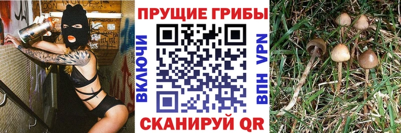 Галлюциногенные грибы GOLDEN TEACHER  Пионерский 